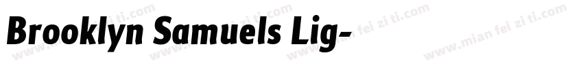 Brooklyn Samuels Lig字体转换